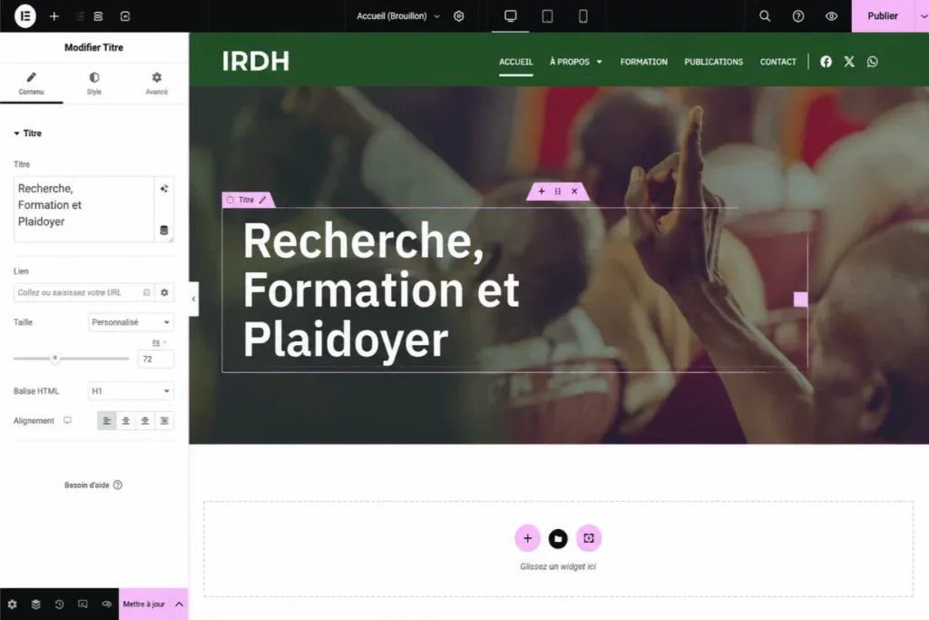 le site irdh sur elementor